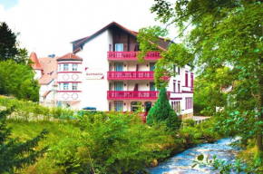 Отель Regiohotel Germania, Бад-Гарцбург